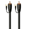 Black Lab RCA                  黑拉布拉多
