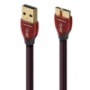 Cinnamon USB肉桂 USB