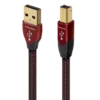 Cinnamon USB肉桂 USB