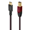 Cinnamon USB肉桂 USB