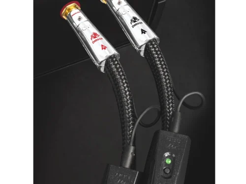 Dragon RCA龍 RCA 訊號線