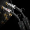 Dragon RCA龍 RCA 訊號線