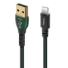 Forest USB森林 USB