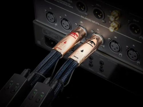 ThunderBird XLR > XLRAudio Interconnect Cable
