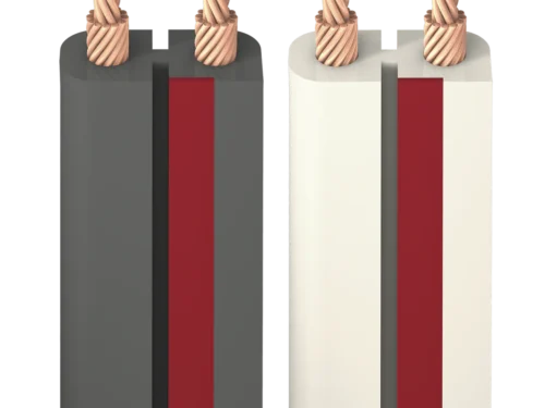 X2