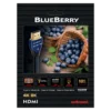 Blueberry 18藍莓 18