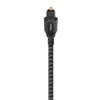 Carbon Optical