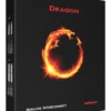 Dragon RCA龍 RCA 訊號線
